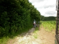283745_175774485888528_11177117_n - kopie