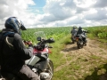 295250_175775252555118_1463366050_n - kopie