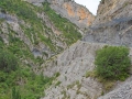 1d4_0746